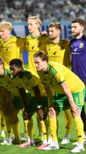 Ilves