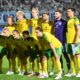 Ilves