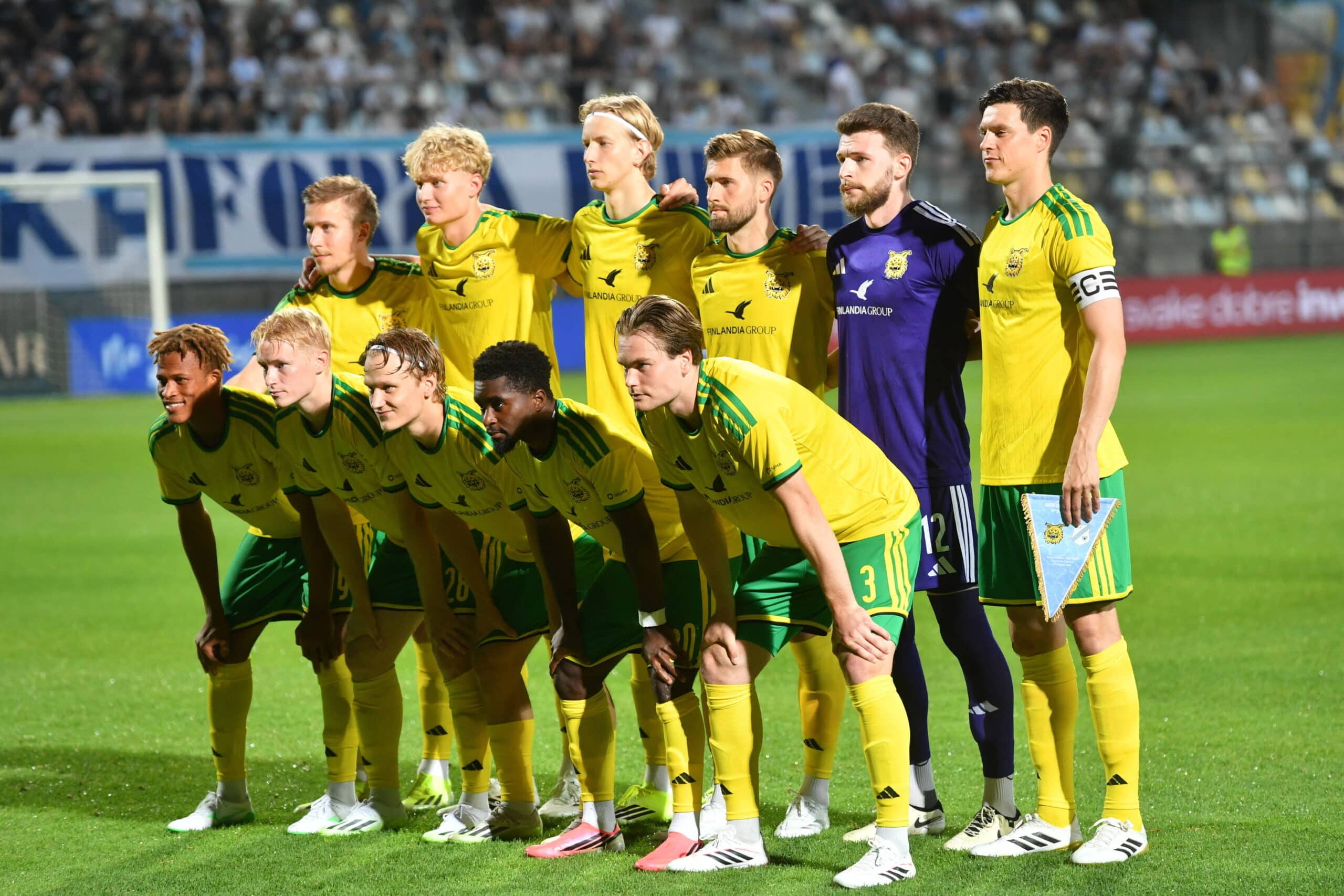 Ilves