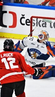 Pikkuleijonat Kanada