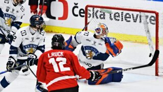Pikkuleijonat Kanada