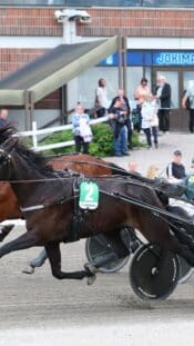 ravit kuvitus