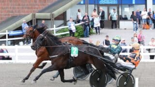 ravit kuvitus