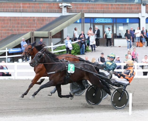 ravit kuvitus