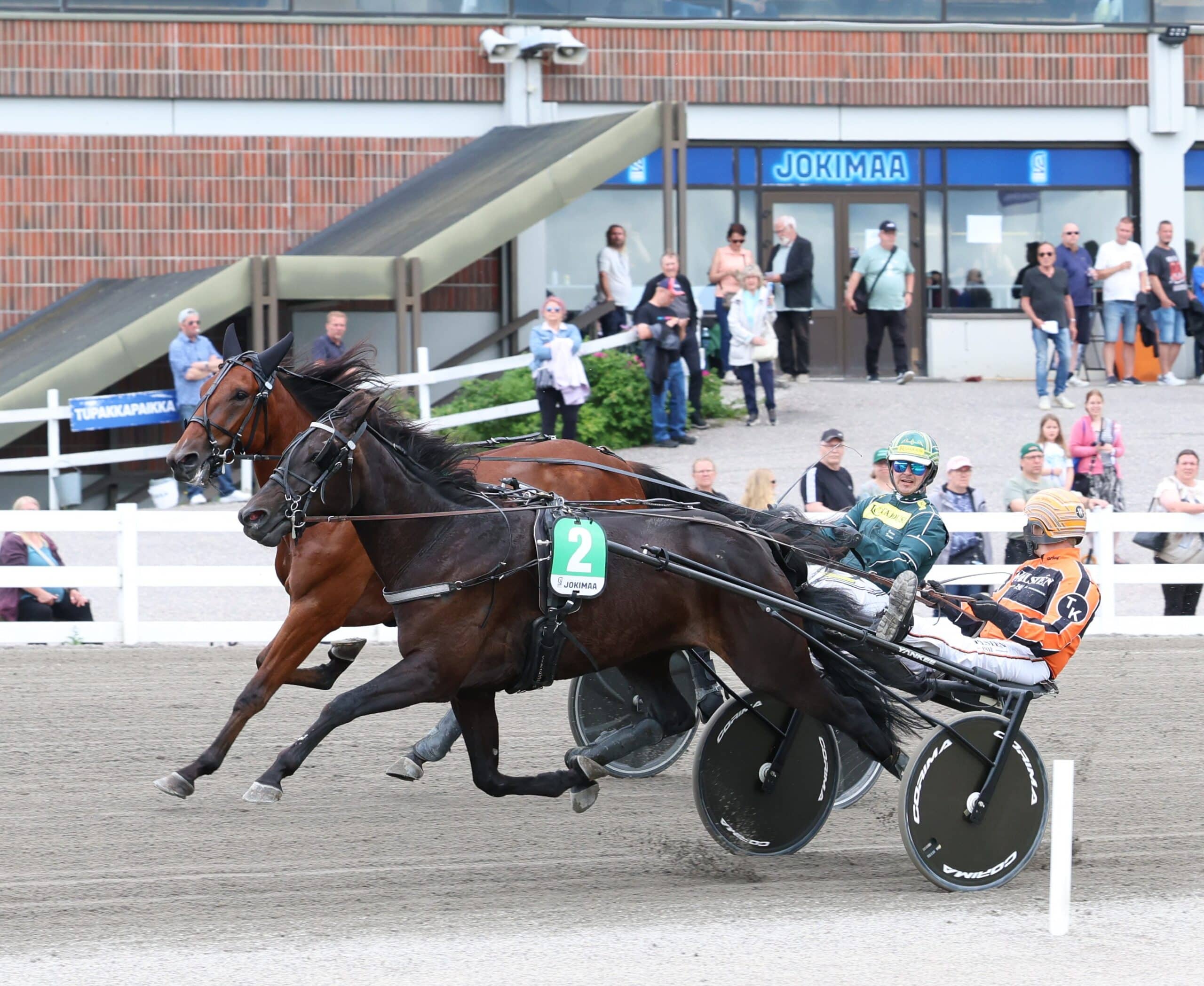 ravit kuvitus