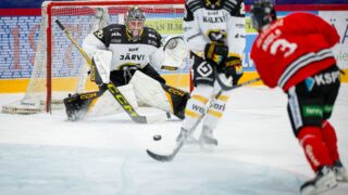 JYP-Kärpät, 2026 preseason