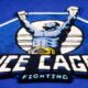 Ice Cage