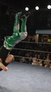 Wrestling ammattilaispaini