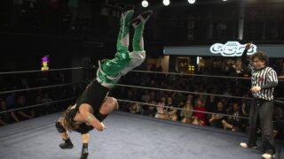 Wrestling ammattilaispaini