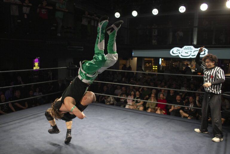 Wrestling ammattilaispaini
