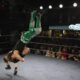 Wrestling ammattilaispaini