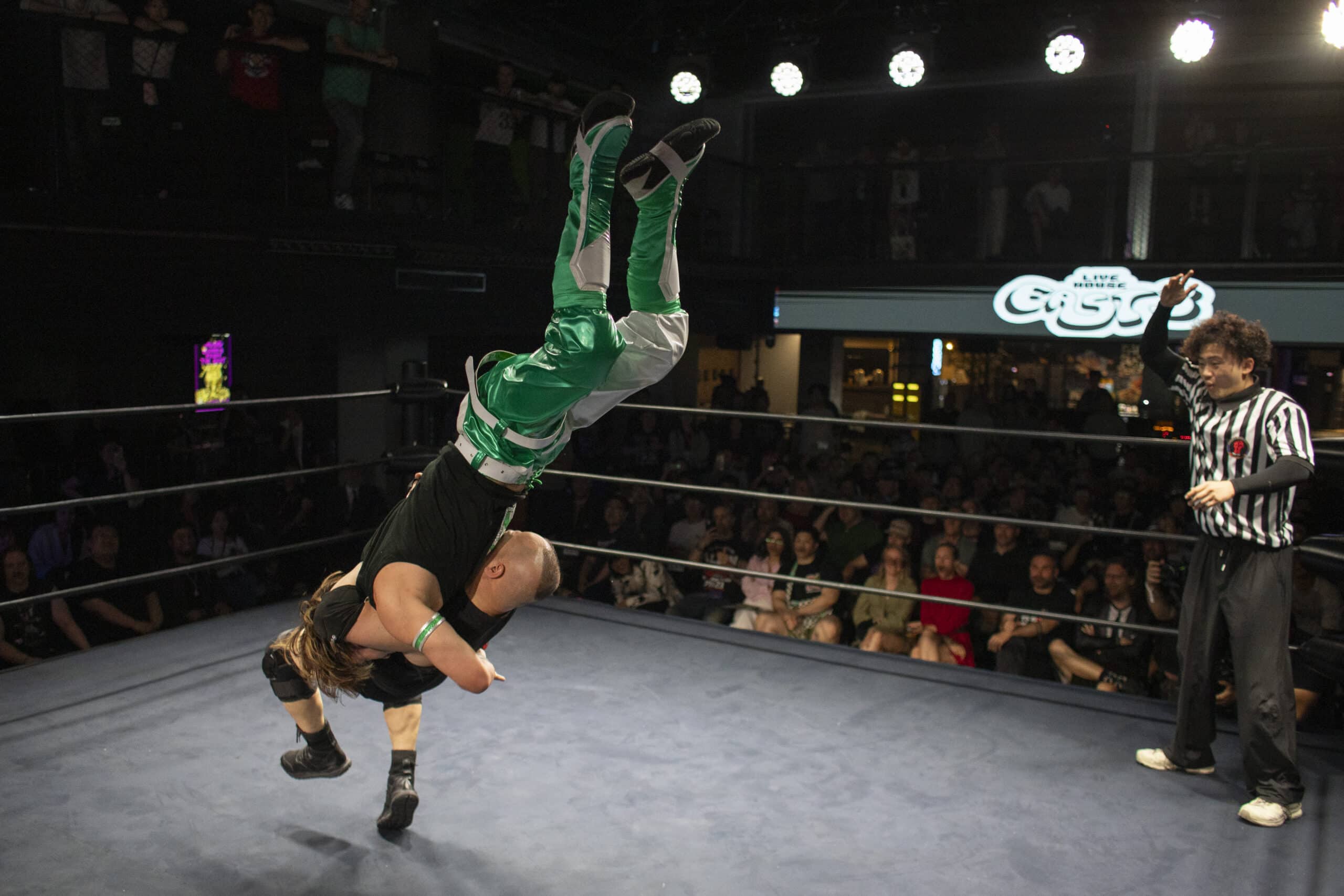 Wrestling ammattilaispaini