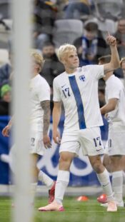Otto Ruoppi, Pikkuhuuhkajat