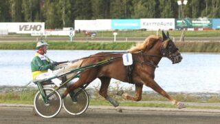 metsärinteenpommi