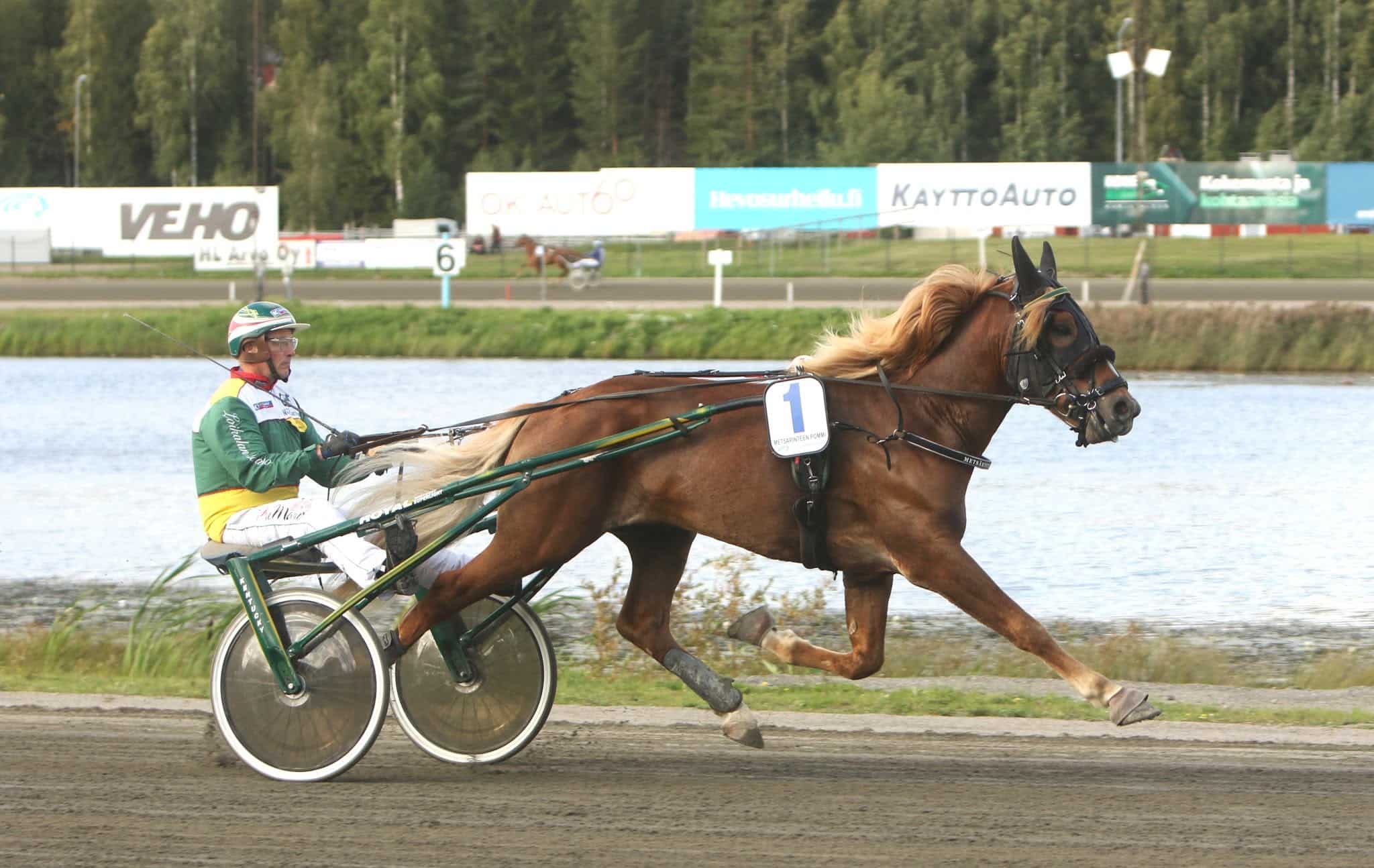 metsärinteenpommi