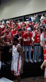 Korisliiga yleisö Salo