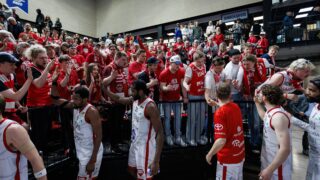 Korisliiga yleisö Salo